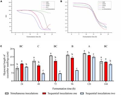 Approaches for the establishment of optimized co-culture system of multiple Trichoderma strains for culture metabolites highly effective in cucumber growth promotion